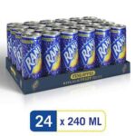 Rani Ananas fruktdryck 240ml*20